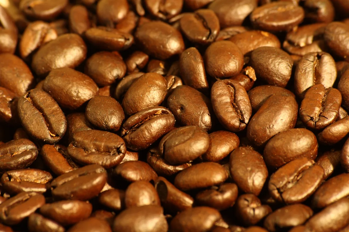 Peruvian Grade 2 MC washed green coffee beans