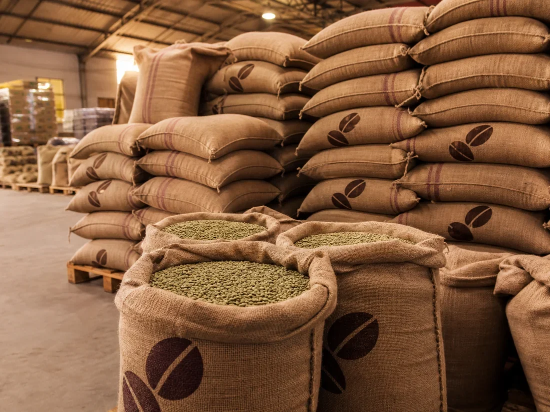 Peruvian Grade 3 MC Santa Clara green coffee in export bags