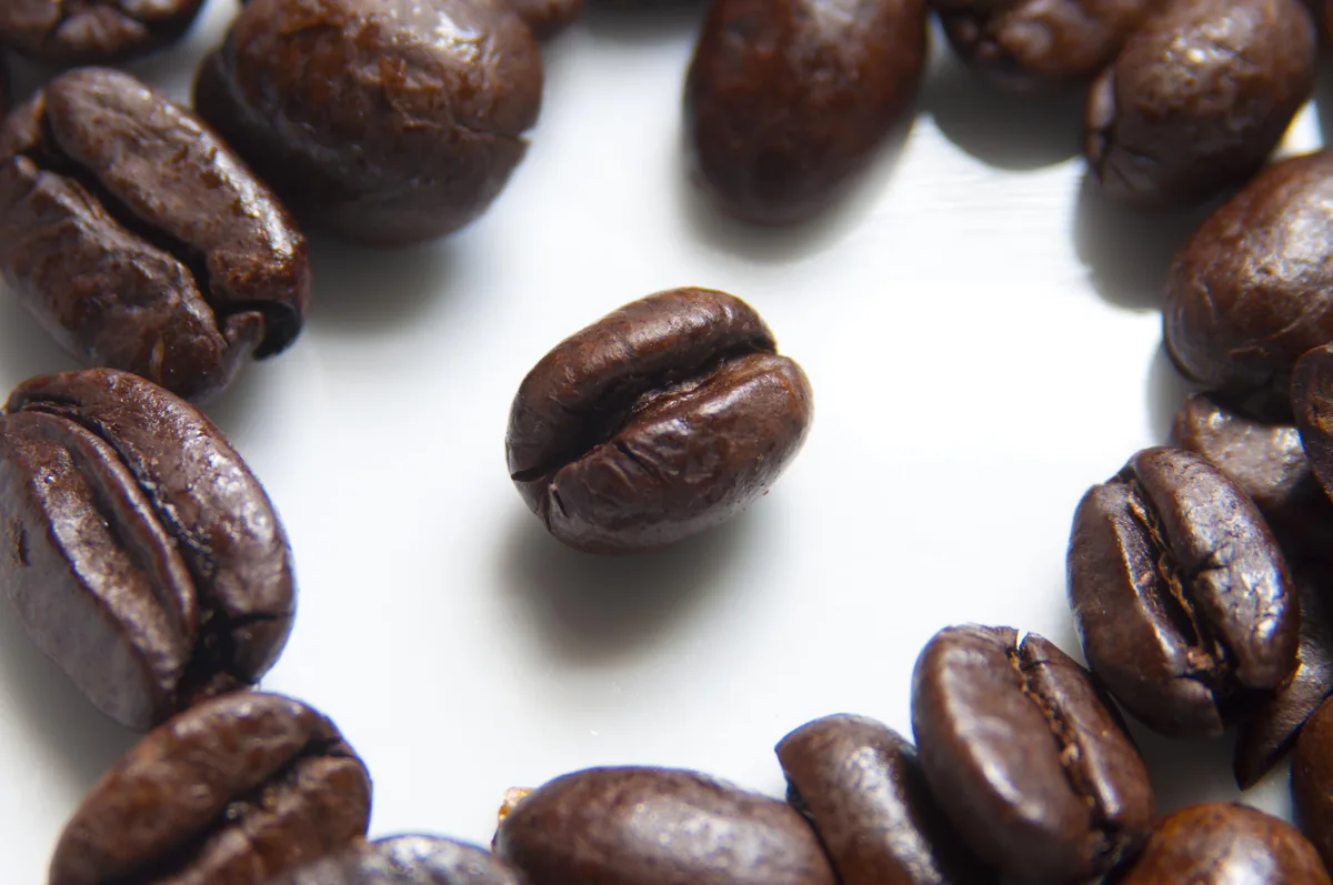 Premium SHB Grade 1 Peruvian coffee evaluated in quality lab