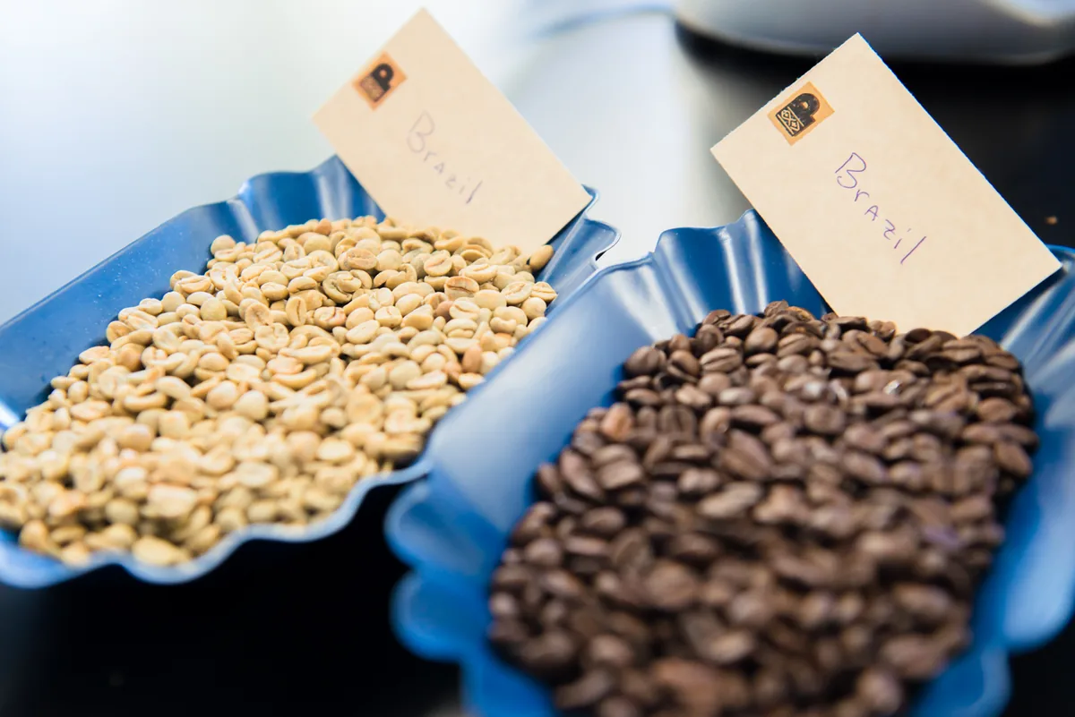 Special Grade 1 Peruvian specialty coffee being cupped